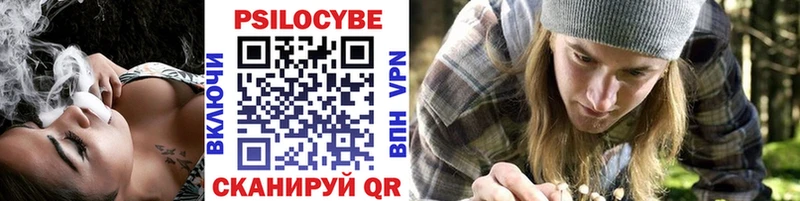 Псилоцибиновые грибы Psilocybe  Исилькуль 